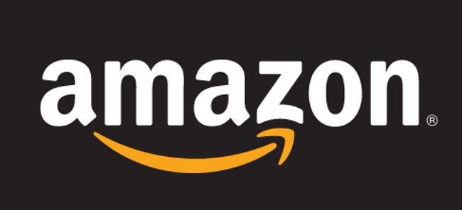 Sandini head support at Amazon