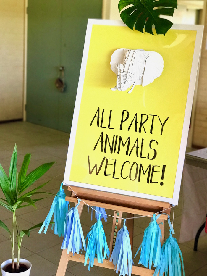  Zoo  Themed First Birthday  Party  Decor Ideas  Kid Transit