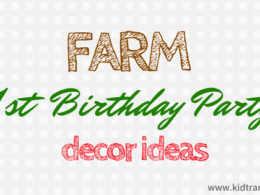 Farm Theme First Birthday Party Ideas