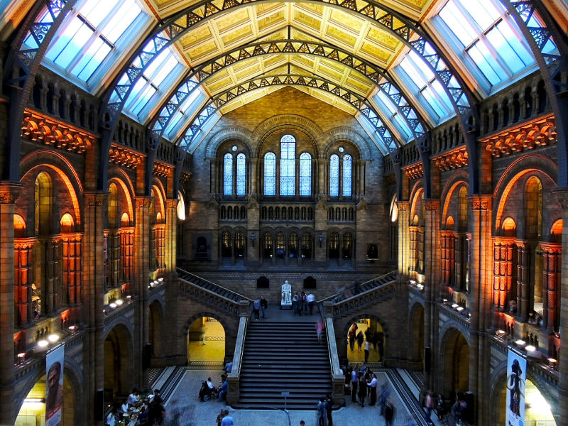 natural history museum free day out