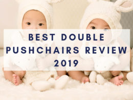 Best double pushchairs review