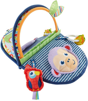 Fisher Price tummy time sensory toy monkey mirror